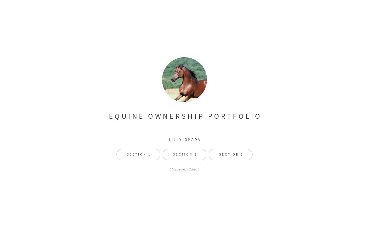 Carrd profile picture for @equine